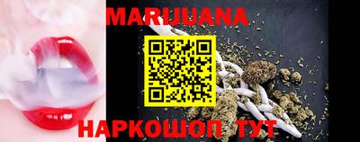 мдпв Бийск
