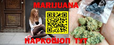 мдпв Бийск