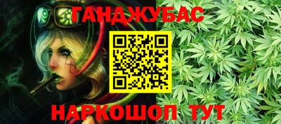 мдпв Бийск