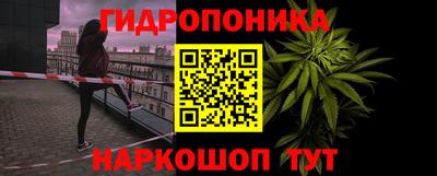 гашик Берёзовский