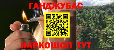 мдпв Бийск