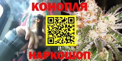 гашик Берёзовский