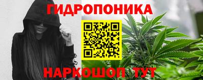 PSILOCYBIN Беслан